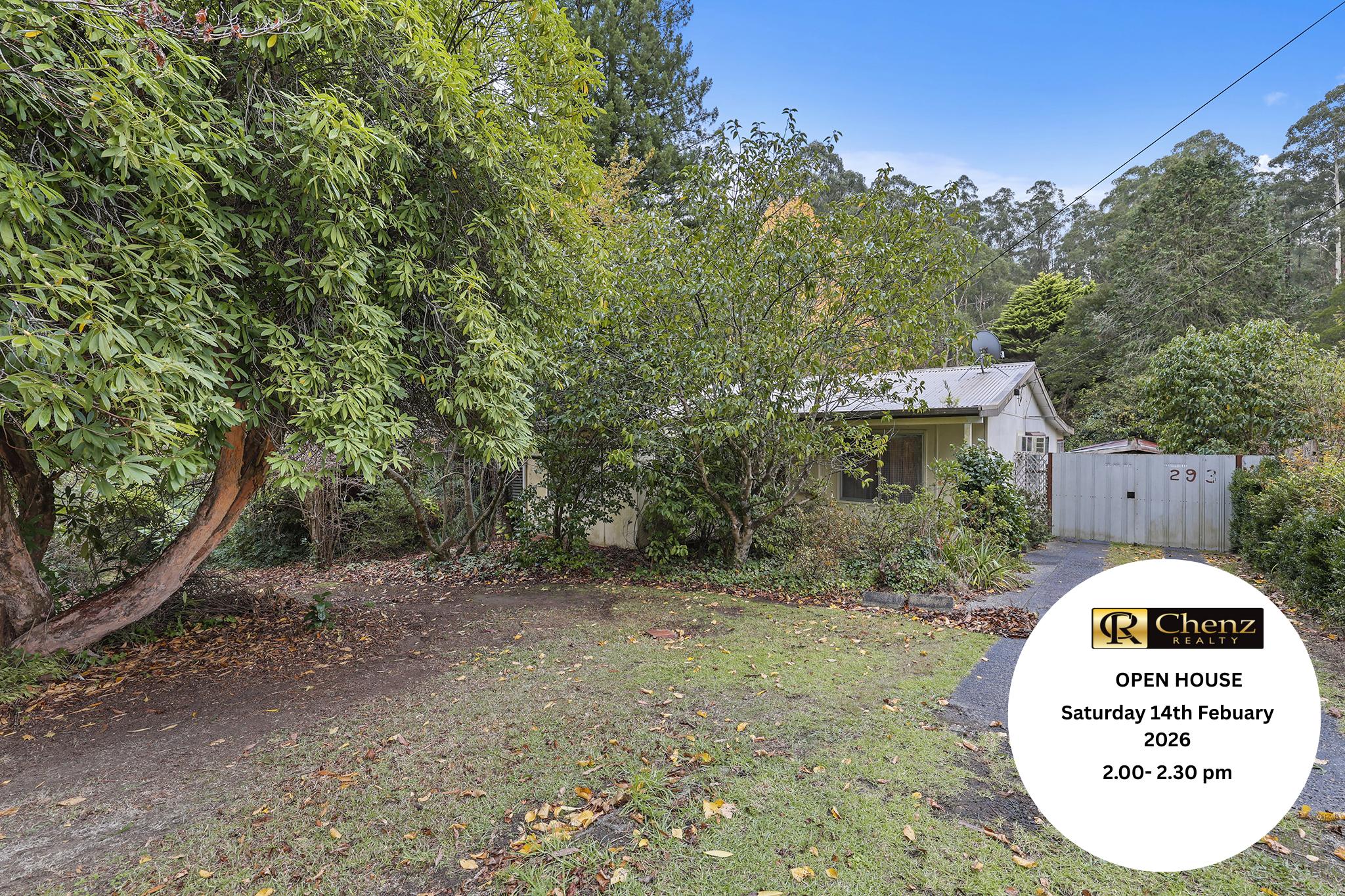 186954687__1770945730-150842456__1749514764-37826-1 (1)